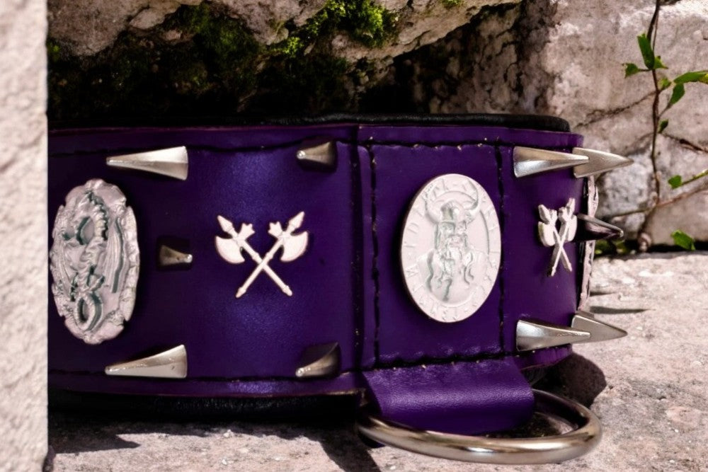 Purple Leather Dog Collar Viking Odin Purple with Chrome Hardware