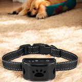 Anti-Bark Dog Collar - Ministry of Canines