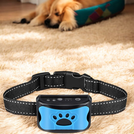 Anti-Bark Dog Collar - Ministry of Canines