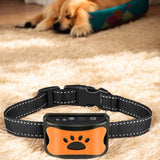 Anti-Bark Dog Collar - Ministry of Canines