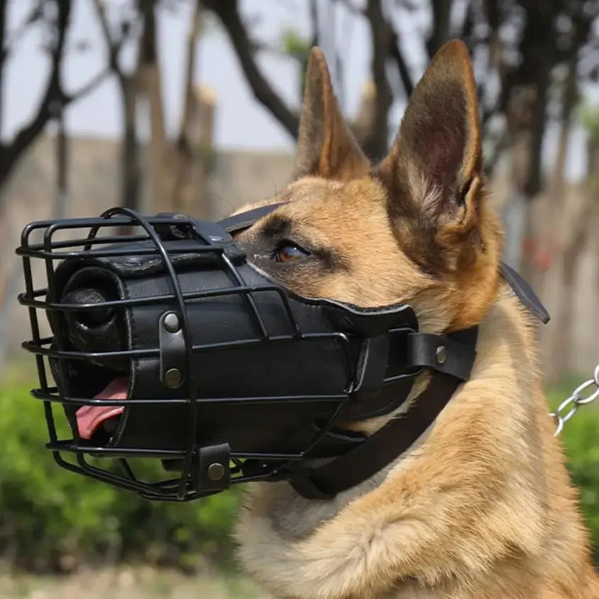 Dog Cage Muzzle Ministry of Canines