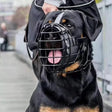 Dog Cage Muzzle - Ministry of Canines