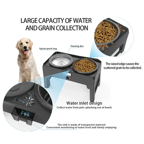 Dog Slow Feeder Bowls With Stand - Ministry of Canines