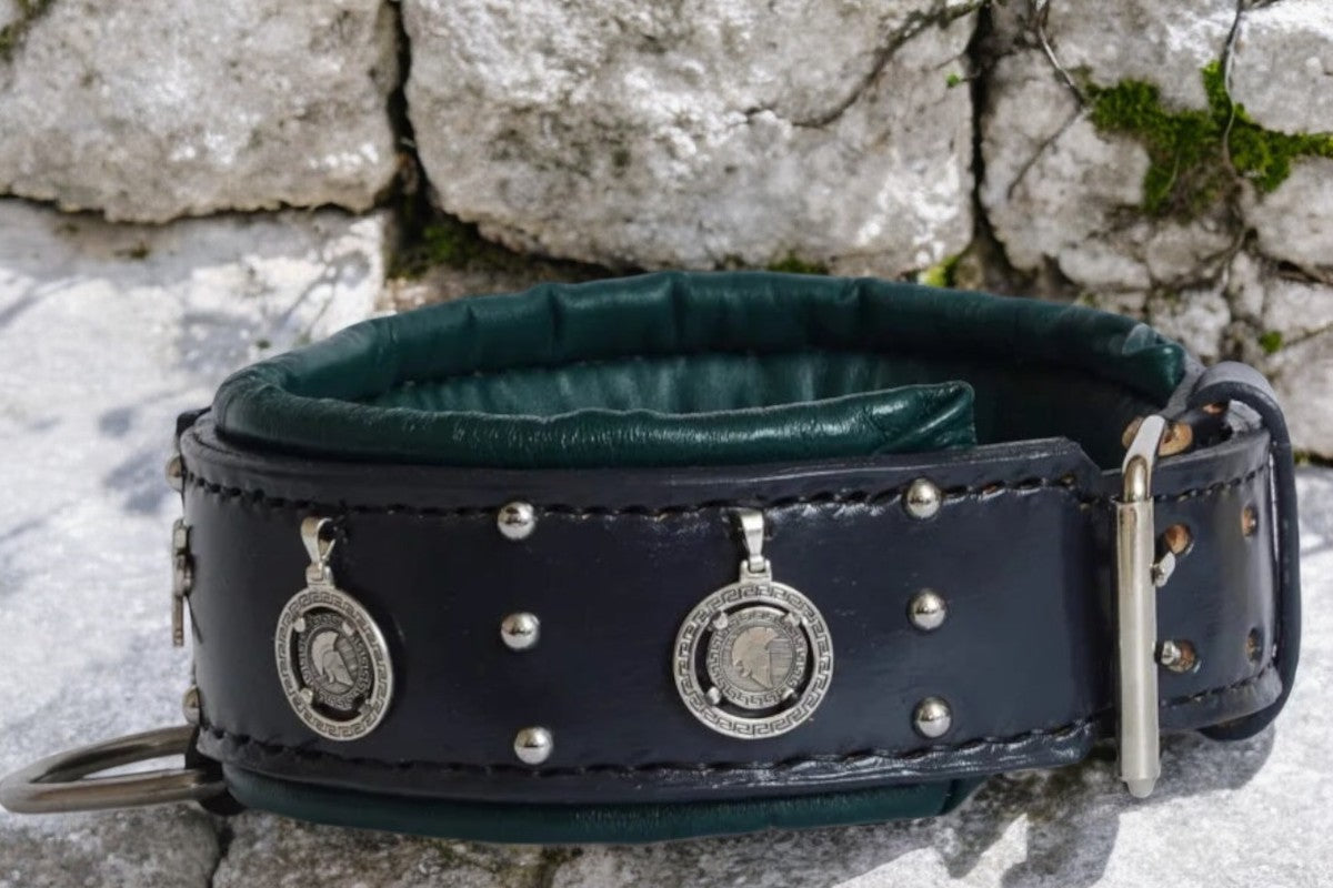 The Spartan Collar