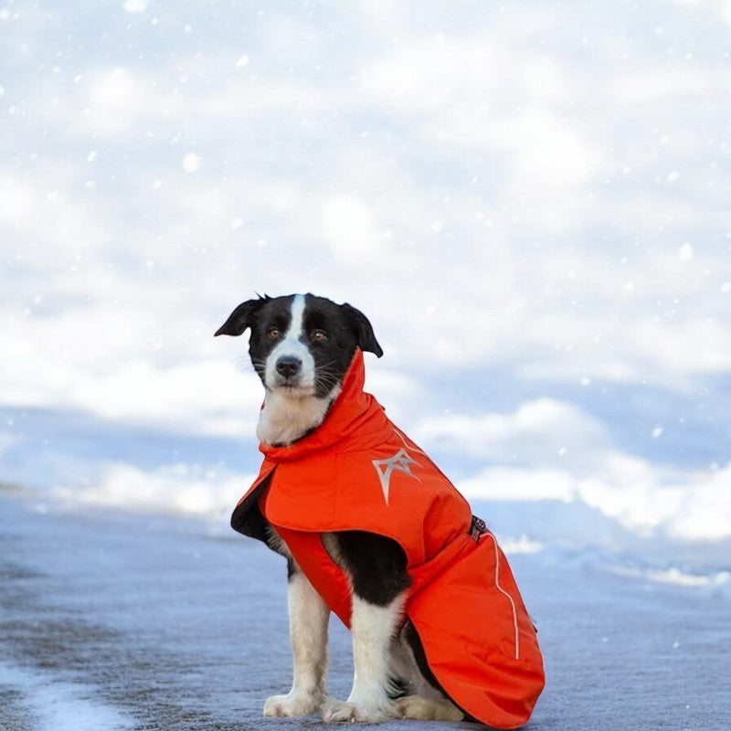 Truelove Warmer Dog Winter Waterproof Windproof Reflective Coat