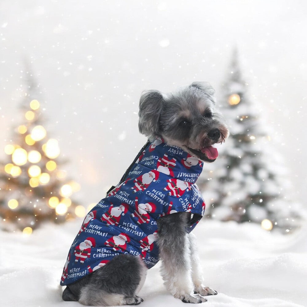 Padded Christmas Jacket